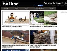 Tablet Screenshot of iizcat.com